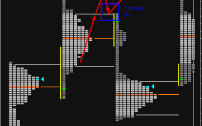 Market Profile